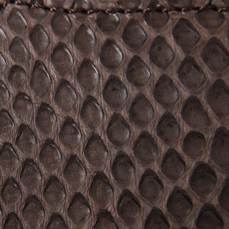 Snakeskin Coin Case
